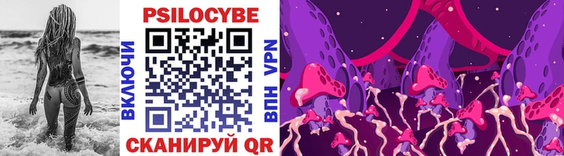 Галлюциногенные грибы Psilocybe  Константиновск 